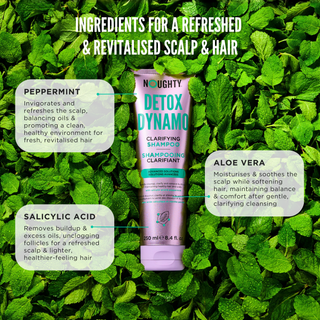 Detox Dynamo Shampoo - 250ml