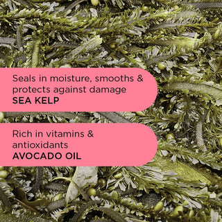 Krullend Haar Starter Bundel 